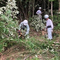 お庭や植木のお手入れ等の画像