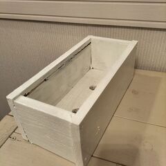 ガーランド鉢くま（セダムのカット苗付き）の画像