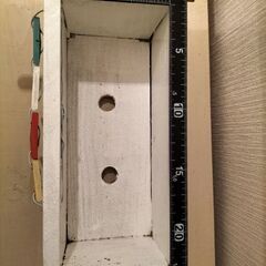 ガーランド鉢くま（セダムのカット苗付き）の画像