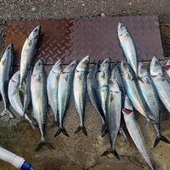 釣り好き🎣&釣りに興味がある方🐟 - 高岡市