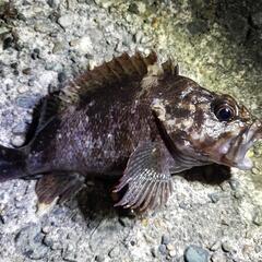 釣り好き🎣&釣りに興味がある方🐟