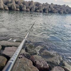 釣り好き🎣&釣りに興味がある方🐟 - 友達
