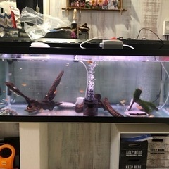 1200ガラス水槽