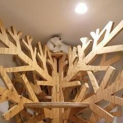 キャットタワー（ツリー）ハンドメイドの画像