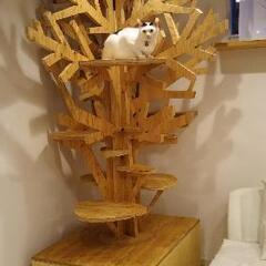 キャットタワー（ツリー）ハンドメイドの画像