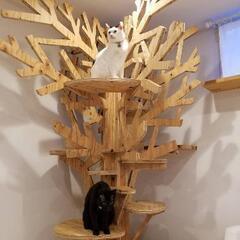 キャットタワー（ツリー）ハンドメイドの画像