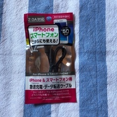 【他サイトにて決まりました‼︎】iPhone・スマホ対応★『乾電池交換式充電器』の画像