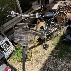 0円　アルベルト　自転車
