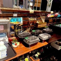 ５月２日　めだか&多肉植物販売