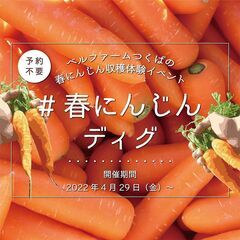 ベルファームつくば　有機葉付春にんじん収穫体験イベント「#春にん...