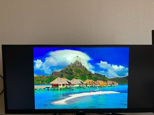 LG モニター ディスプレイ 29インチ 29WL500-B
