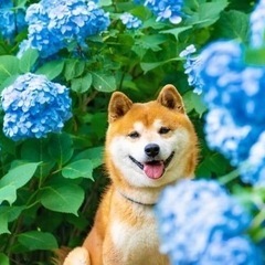 勉強会