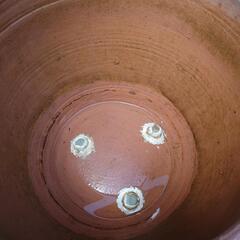 水瓶（メダカ）の画像