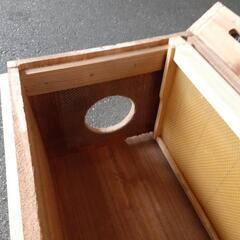養蜂 巣箱の画像
