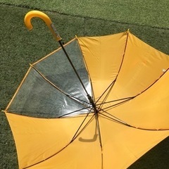 透明窓つき傘　55センチ　記名ありの画像