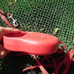 犬のリード(小型犬用)の画像