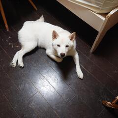 募集ストップします。