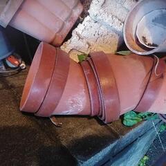 プランター、植木鉢欲しいかたいたら