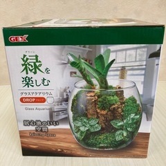 グラスアクアリウム　ガラス製品　🍀商談中🍀
