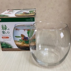 グラスアクアリウム　ガラス製品　🍀商談中🍀の画像
