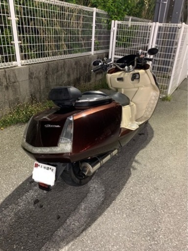 マグザム　後期