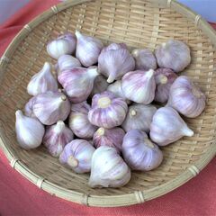 野菜限定400円で販売します！