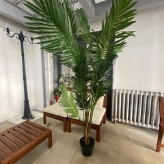 フェイク　グリーン　アレカヤシの木