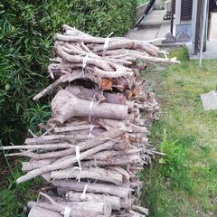 丸太【無料】の画像