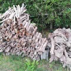 丸太【無料】の画像