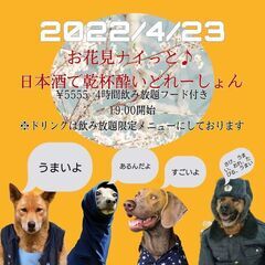 こんな感じでパーティーやってます♪