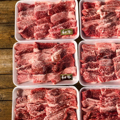 ⭐️5月14日(土)⭐️夜にBBQしませんか？🌝Night BBQ🍖 - 京都市