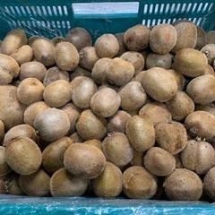 受渡者決まりました☆無農薬キウイフルーツ【訳あり】5kg☆