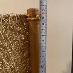 アジアンランプの画像