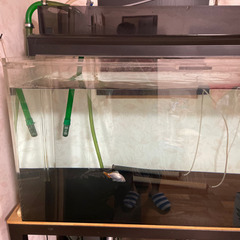 大型アクリル水槽　120×60×60の画像