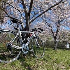 札幌近郊ライド仲間募集中(ロードバイク限定)