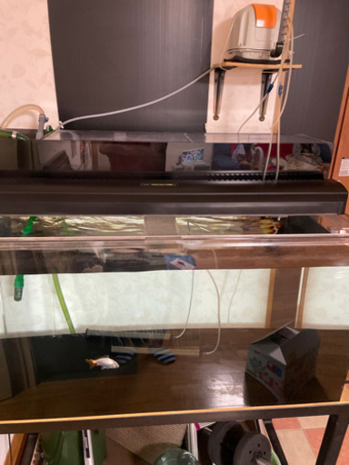 大型アクリル水槽　120×60×60
