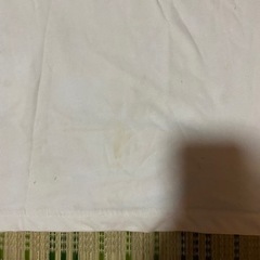 THE ノースフェイス Tシャツ　ノースフェイス  白の画像