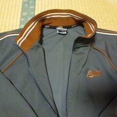 レディースS プーマジャージ上下の画像