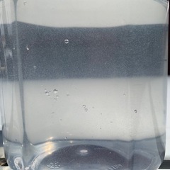 ゾウリムシ　500ml