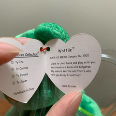 ty BEANIE BABIES くま ぬいぐるみ wattlie タグカバーつきの画像
