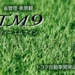 TM9の芝生をいただきたいです