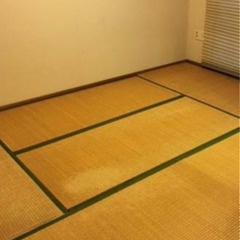 畳　お譲り致します。