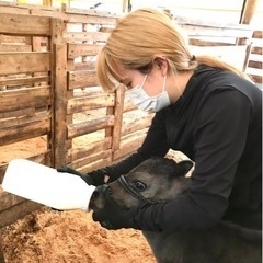 スキマ時間でミルクやり・エサやり・清掃の画像