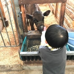 スキマ時間でミルクやり・エサやり・清掃の画像