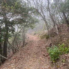 登山行きませんか？ - スポーツ