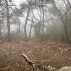 登山行きませんか？