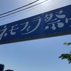 無事終了、４月３０日ネモフィラ見に行きませんか？？ツーリング - メンバー募集