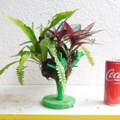 盆栽オブジェー１の画像