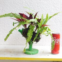 盆栽オブジェー１の画像