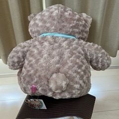 クマさんのぬいぐるみの画像